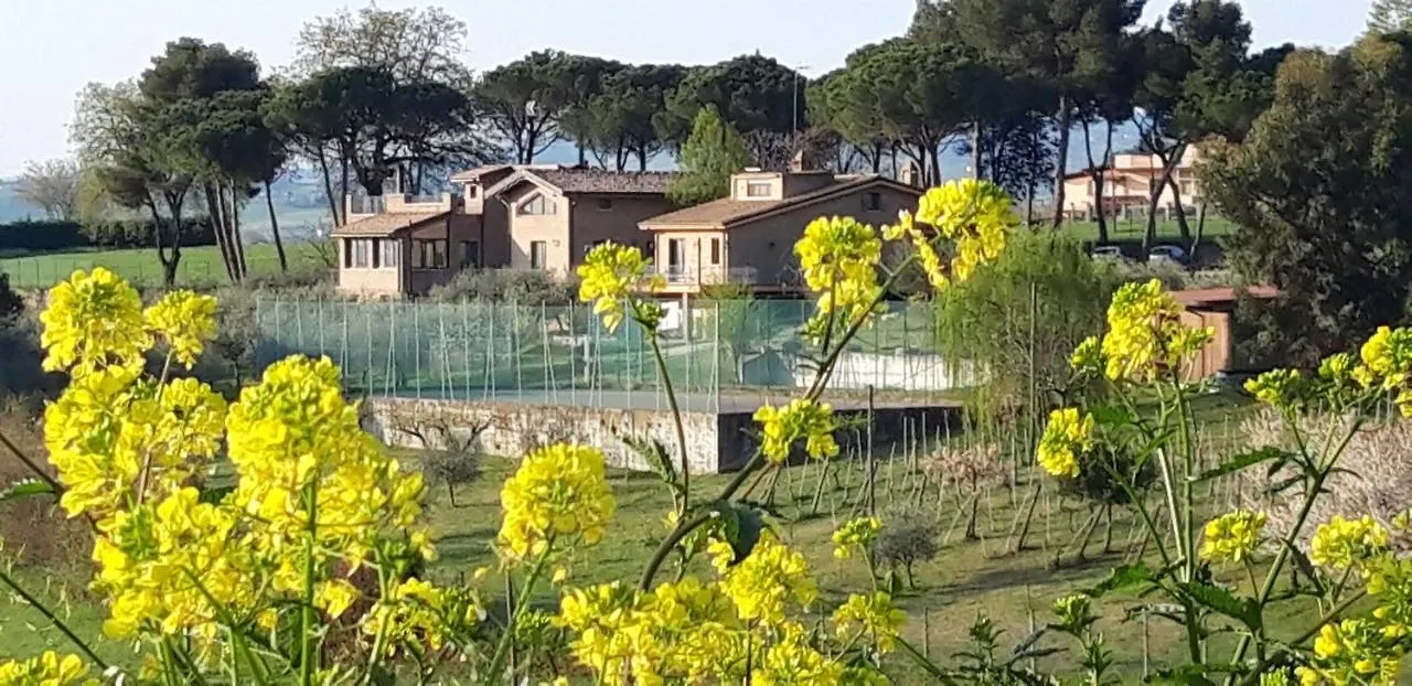 La Casa Nella Prateria Bed and Breakfast Misano Adriatico